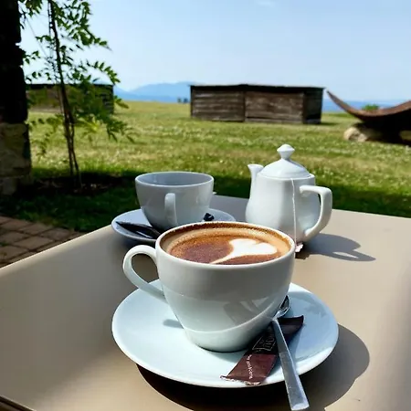 L'avenc Benestar Rural تافيرتيت